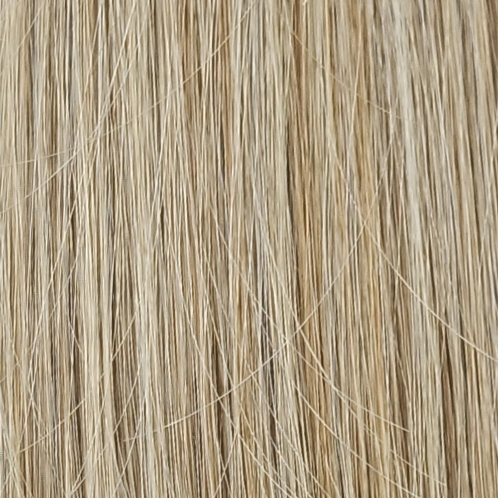 RH1488 - Dark Blonde with Lightest Blonde Highlights