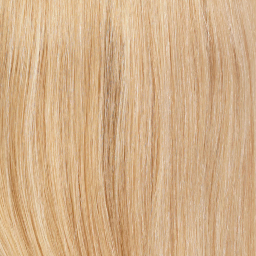 RT613/27 - Light Auburn Tipped with Pale Blonde