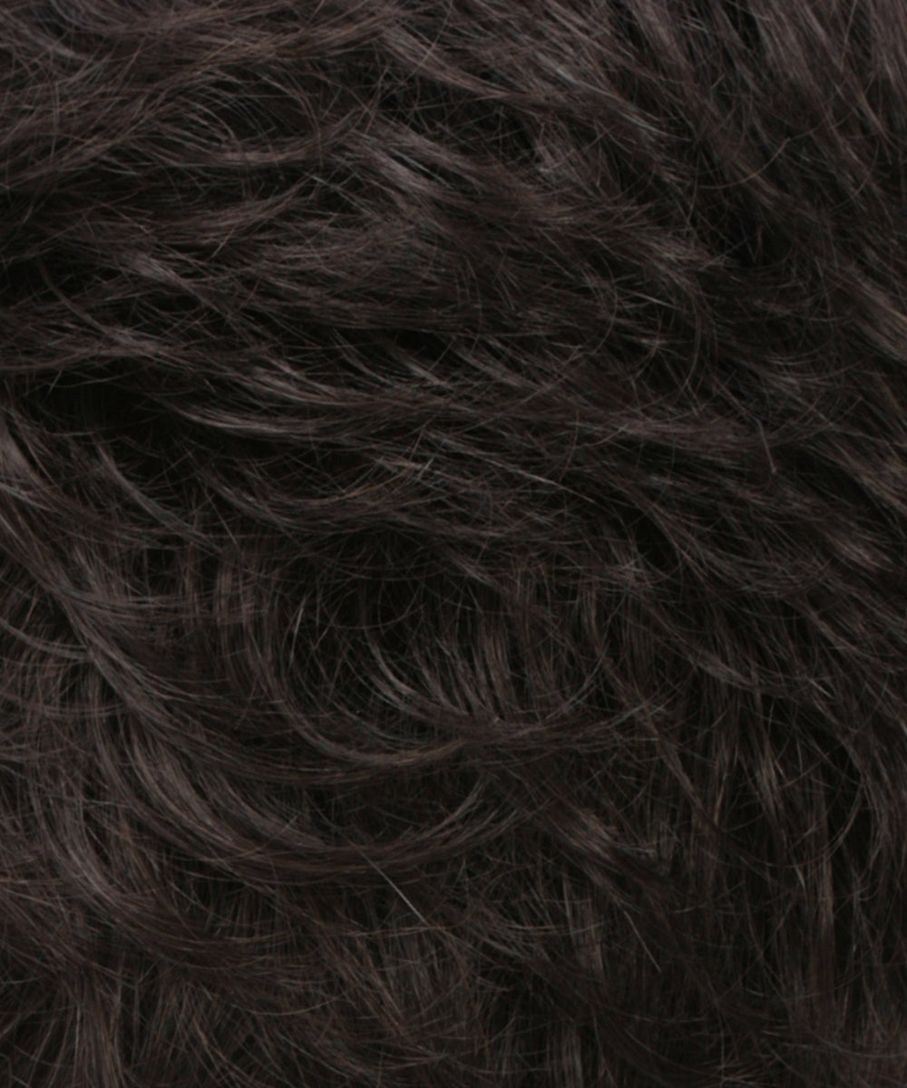 Synthetic Wig Color Swatch R2/4 by Estetica Designs