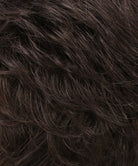 Synthetic Wig Color Swatch R4/6 by Estetica Designs