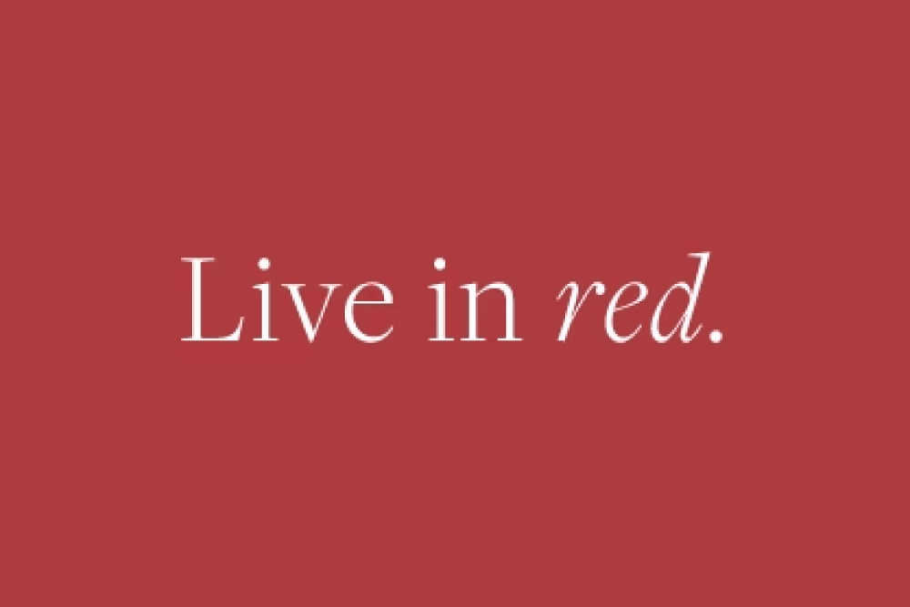A Look at the Red Synthetic Hair Colors of Estetica
