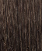 Heat Resistant Wig Brown Color Swatch R6/10 by Estetica Designs 