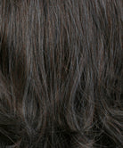 CHOCOLATESMOKE - Dark Brown / Chestnut Brown Blend with Fine Slate Blue Highlights